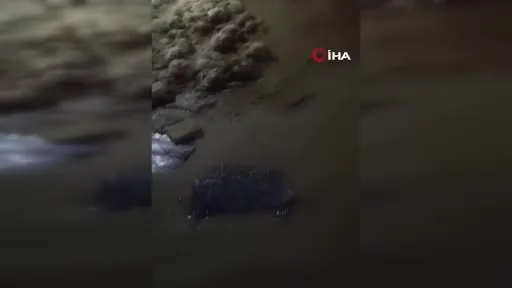 Taşkın kümesi vurdu, çok sayıda tavuk telef oldu