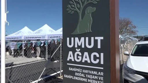 Nilüfer’de sahipsiz hayvanlar için "Umut Ağacı" açıldı