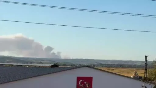 Yunanistan’daki yangında oluşan yoğun duman Meriç’ten de görülüyor