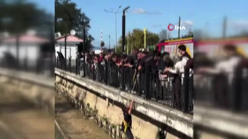 Yalova’da itfaiye ekipleri derede mahsur kalan iki kediyi kurtardı
