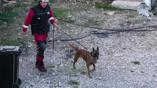 İnegöl’de K9’lara hayat kurtaran eğitim