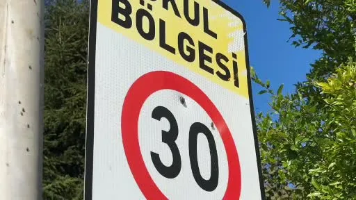 Kokarca istilasına karşı ilginç mücadele: İlaç yetmedi, tavuk ve hindiler devreye girdi