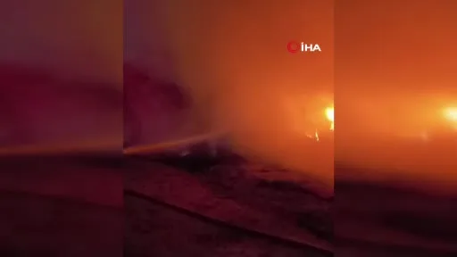 Karacabey’de çiftlik alevlere teslim oldu: Hayvanlar son anda kurtarıldı