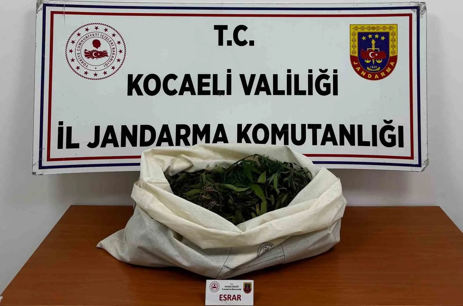Kocaeli’de jandarmadan 4 ilçede uyuşturucu operasyonu