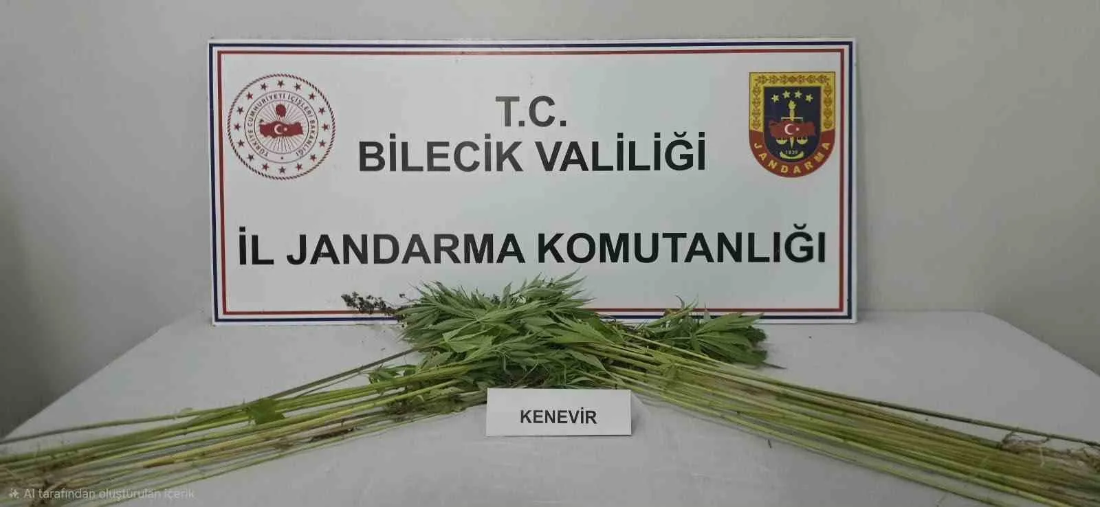 Bilecik’te tarlada kenevir bitkisi ele geçirildi