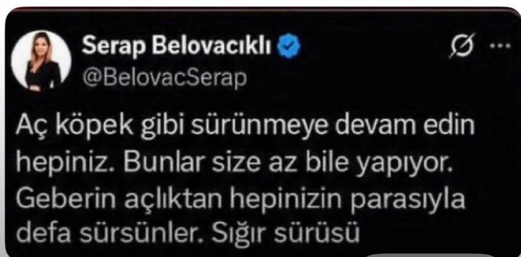 Gazeteci Serap Belovacıklı hakkında soruşturma başlatıldı