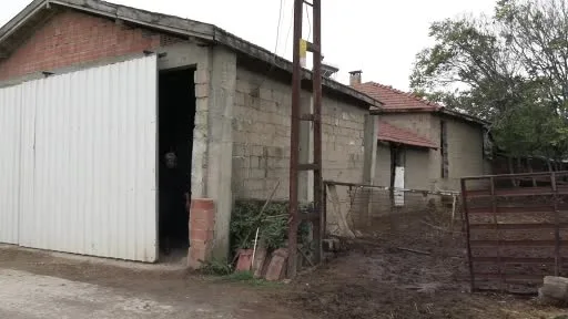 Kadın çiftçinin azmi devlet desteğiyle büyüdü: Edirne’de 5 hayvanla filizlenen umut, 30 hayvanla büyüdü