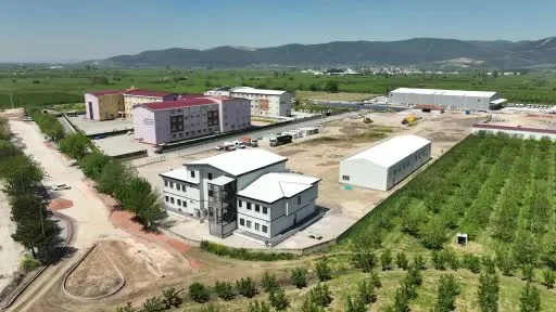 Gürsu Ovası’na kadın eli değdi