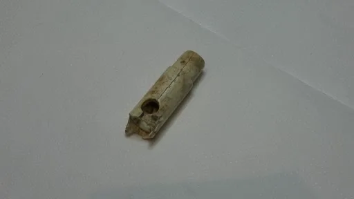 Troya’daki müzik kültürüne ilişkin doğrudan bir arkeolojik kanıta ulaşıldı