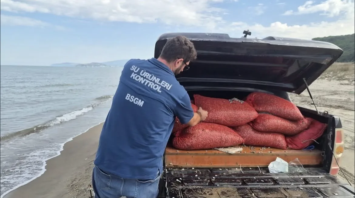 Bursa’da kaçak avcılığa geçit yok: 2 ton 760 kilo kum şırlanı doğaya bırakıldı