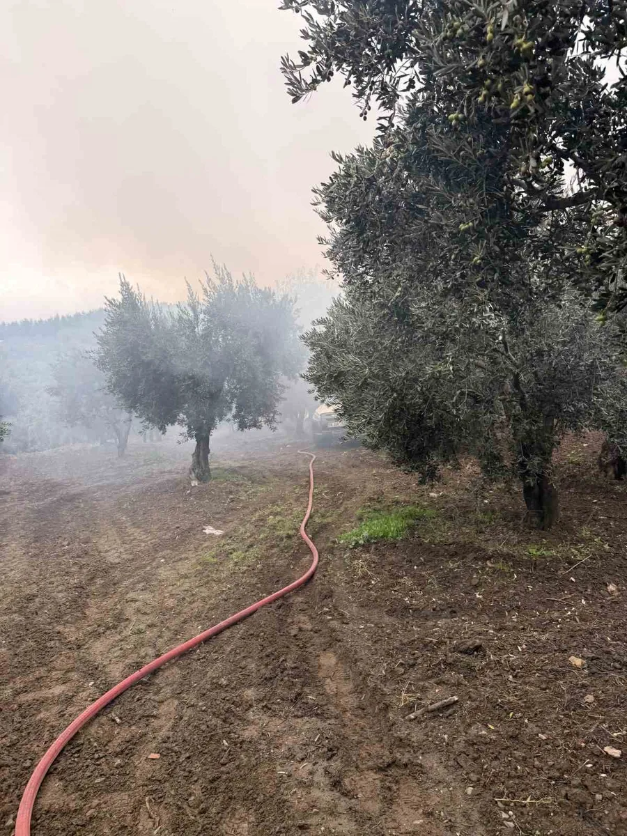 Erdek’te zeytinlik içerisindeki müstakil evde yangın çıktı